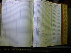 McDowell Births & Deaths 335.JPG