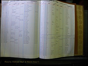 McDowell Births & Deaths 338.JPG