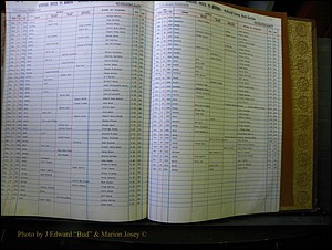 McDowell Births & Deaths 340.JPG