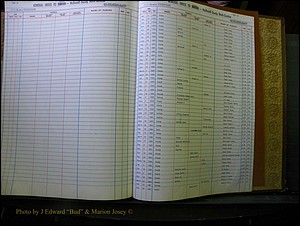 McDowell Births & Deaths 343.JPG