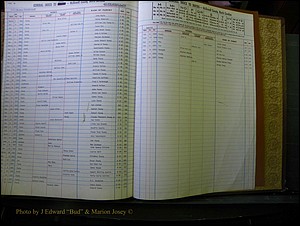 McDowell Births & Deaths 344.JPG