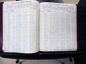 Mitchell Co, NC, Delayed Births (153).JPG