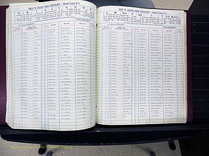 Mitchell Co, NC, Delayed Births (177).JPG