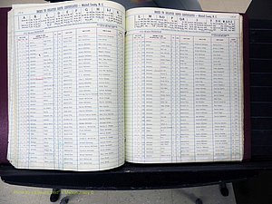 Mitchell Co, NC, Delayed Births (178).JPG