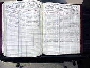 Mitchell Co, NC, Delayed Births (195).JPG