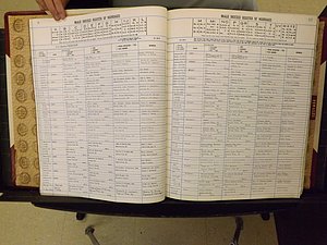 Mitchell Co, NC, Marriage Book 9, Male & Female, 1979-1999 (113).JPG