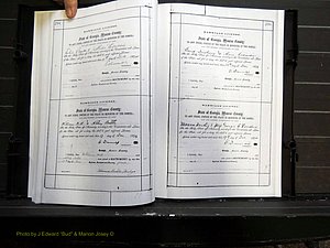 Monroe Co, GA, Marriages, Book C2, 1872-1875 pg 294-295.JPG