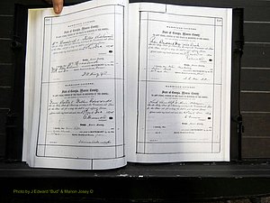 Monroe Co, GA, Marriages, Book C2, 1872-1875 pg 308-309.JPG