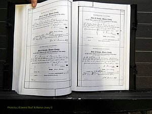 Monroe Co, GA, Marriages, Book C2, 1872-1875 pg 348-349.JPG