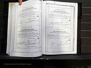 Monroe Co, GA, Marriages, Book C2, 1872-1875 pg 366-367.JPG