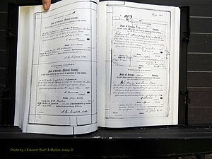 Monroe Co, GA, Marriages, Book C2, 1872-1875 pg 388-389.JPG