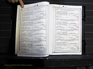 Monroe Co, GA, Marriages, Book H, 1907-1913 pg 004-005.JPG