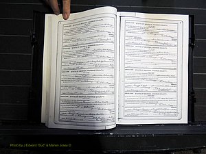 Monroe Co, GA, Marriages, Book I, 1917-1922 pg 008-009.JPG