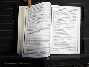 Monroe Co, GA, Marriages, Book I, 1917-1922 pg 086-087.JPG
