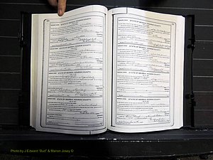 Monroe Co, GA, Marriages, Book I, 1917-1922 pg 110-111.JPG