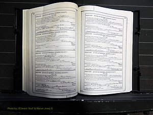 Monroe Co, GA, Marriages, Book I, 1917-1922 pg 118-119.JPG