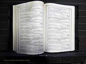 Monroe Co, GA, Marriages, Book I, 1917-1922 pg 126-127.JPG