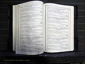 Monroe Co, GA, Marriages, Book I, 1917-1922 pg 130-131.JPG
