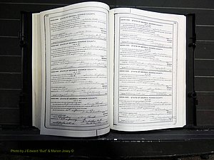 Monroe Co, GA, Marriages, Book I, 1917-1922 pg 132-133.JPG