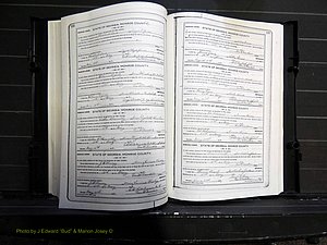 Monroe Co, GA, Marriages, Book I, 1917-1922 pg 152-153.JPG
