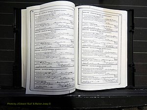 Monroe Co, GA, Marriages, Book I, 1917-1922 pg 156-157.JPG