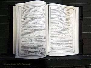 Monroe Co, GA, Marriages, Book I, 1917-1922 pg 164-165.JPG