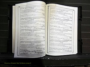 Monroe Co, GA, Marriages, Book I, 1917-1922 pg 188-189.JPG