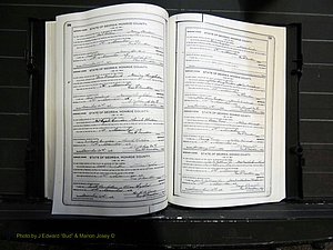 Monroe Co, GA, Marriages, Book I, 1917-1922 pg 194-195.JPG