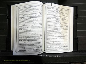 Monroe Co, GA, Marriages, Book I, 1917-1922 pg 202-203.JPG
