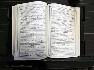Monroe Co, GA, Marriages, Book I, 1917-1922 pg 204-205.JPG