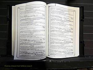 Monroe Co, GA, Marriages, Book I, 1917-1922 pg 206-207.JPG