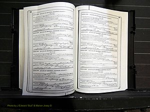 Monroe Co, GA, Marriages, Book I, 1917-1922 pg 208-209.JPG