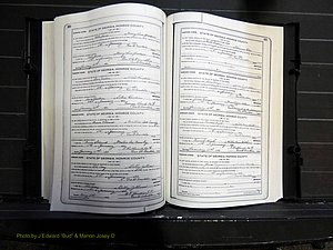 Monroe Co, GA, Marriages, Book I, 1917-1922 pg 210-211.JPG