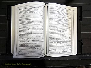 Monroe Co, GA, Marriages, Book I, 1917-1922 pg 212-213.JPG