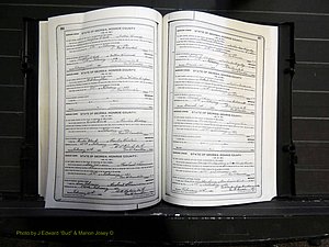 Monroe Co, GA, Marriages, Book I, 1917-1922 pg 216-217.JPG