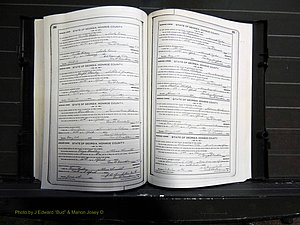 Monroe Co, GA, Marriages, Book I, 1917-1922 pg 230-231.JPG