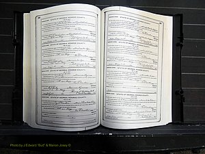Monroe Co, GA, Marriages, Book I, 1917-1922 pg 232-233.JPG