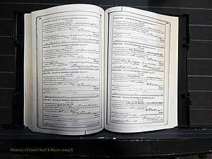 Monroe Co, GA, Marriages, Book I, 1917-1922 pg 234-235.JPG