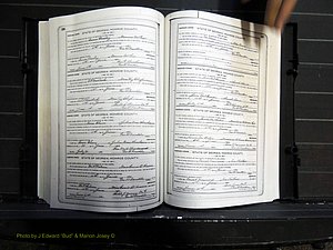Monroe Co, GA, Marriages, Book I, 1917-1922 pg 236-237.JPG