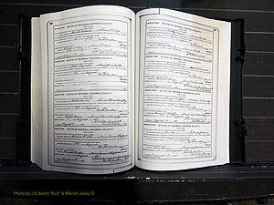 Monroe Co, GA, Marriages, Book I, 1917-1922 pg 246-247.JPG