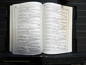 Monroe Co, GA, Marriages, Book I, 1917-1922 pg 248-249.JPG