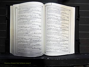 Monroe Co, GA, Marriages, Book I, 1917-1922 pg 250-251.JPG