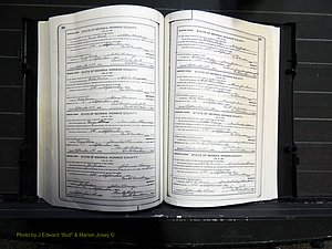 Monroe Co, GA, Marriages, Book I, 1917-1922 pg 252-253.JPG