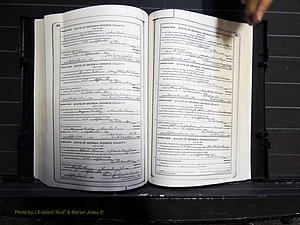 Monroe Co, GA, Marriages, Book I, 1917-1922 pg 254-255.JPG