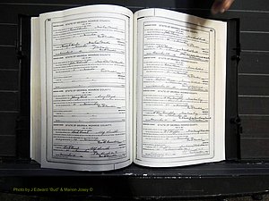 Monroe Co, GA, Marriages, Book I, 1917-1922 pg 262-263.JPG