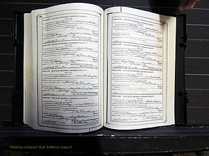 Monroe Co, GA, Marriages, Book I, 1917-1922 pg 272-273.JPG