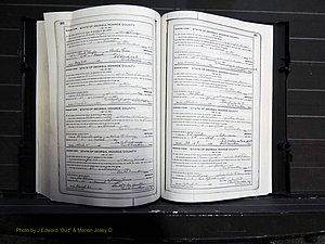 Monroe Co, GA, Marriages, Book I, 1917-1922 pg 282-283.JPG
