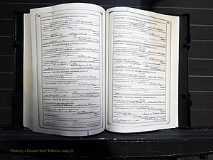 Monroe Co, GA, Marriages, Book I, 1917-1922 pg 288-289.JPG