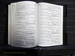 Monroe Co, GA, Marriages, Book I, 1917-1922 pg 290-291.JPG