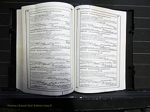 Monroe Co, GA, Marriages, Book I, 1917-1922 pg 294-295.JPG